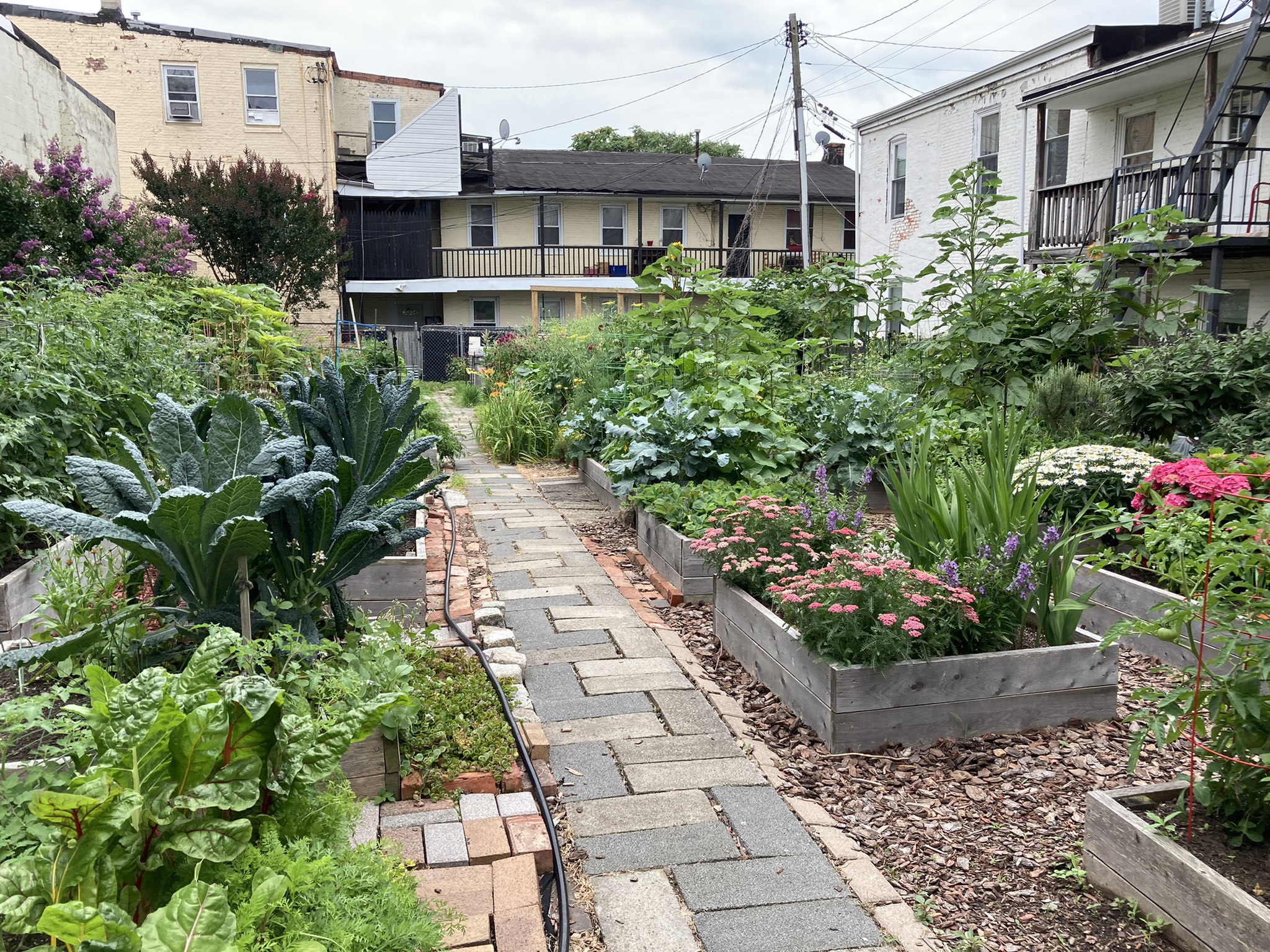 Jan Mooney of Baltimore, Maryland: Award-Winning Community Garden